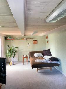 ein Schlafzimmer mit einem Bett und einem TV. in der Unterkunft Lilleledgaard in Ringkøbing