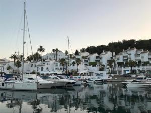 Un grupo de barcos atracados en un puerto con casas. en Cala Marina, en La Herradura