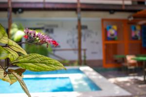 a plant with a flower next to a swimming pool at Vila Aju - Pousada Temática in Aracaju