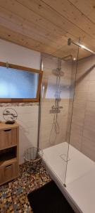a shower with a glass door in a bathroom at Belle Océane in Lège