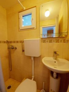 a bathroom with a toilet and a sink and a mirror at Guest House Ivana in Žvinje