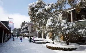 a snow covered street with a tree and buildings at Powder 3A in Thredbo