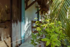 Giardino di Hotel Villas Tiburon Adults Only