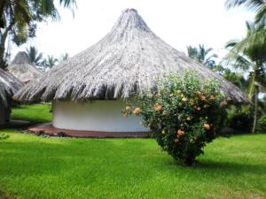 Zahrada ubytování Hotel Maribu Caribe