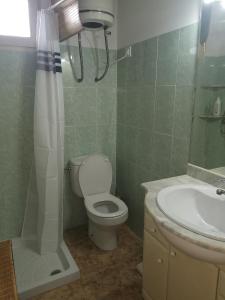 ein Bad mit einem WC, einem Waschbecken und einer Dusche in der Unterkunft Casa Rural Masia d'en Gall in L'Aldea