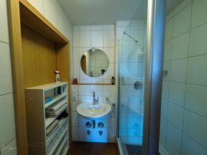 Ένα μπάνιο στο Apartment mit Fernsicht, nahe Schweizer Grenze +26 φωτογραφίες
