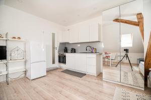 Kuchyň nebo kuchyňský kout v ubytování APARTMÁNY LEDNiCE + 1 fotografie