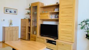 TV a/nebo společenská místnost v ubytování Bernhard Schmidt-Gasse