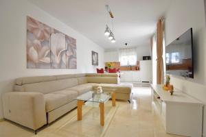 Gallery image of Holiday apartments Petra in Štinjan