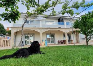 a black dog sitting in the grass in front of a house at Apartmani Naomi&Leo in Senj