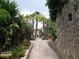 Um jardim em Forte Rose Hotel