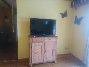 a television on top of a wooden cabinet with butterflies on the wall at Ferienwohnung Späth in Ramsthal