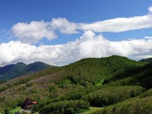 a green hillside with a house on top of it at Forest Inn Sangoro in Zaō Onsen