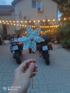 Fotografie z fotogalerie ubytování Pensiunea Buon Gusto Sibiu-motorcyle friendly,city center v destinaci Sibiu