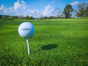 a golf ball on a tee in the grass at Cosy - Best Rest Potch in Potchefstroom