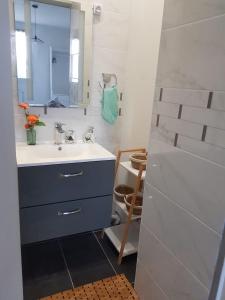 La salle de bains est pourvue d'un lavabo et d'un miroir. dans l'établissement Superbe appartement de 41m2 en résidence privé, à Fleury-les-Aubrais