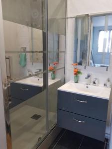 La salle de bains est pourvue de 2 lavabos et d'une douche en verre. dans l'établissement Superbe appartement de 41m2 en résidence privé, à Fleury-les-Aubrais
