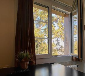 uma janela com uma planta sentada sobre uma mesa ao lado em Budgetapartment Rheinfall von Swisspartments em Arbon