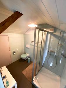 uma casa de banho com uma cabina de duche em vidro e um WC. em Budgetapartment Rheinfall von Swisspartments em Arbon