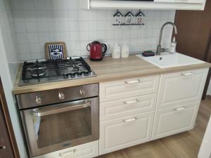 una cucina con fornelli e lavello di Poggio del Sole a Letoianni Altre 32 foto