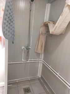 a shower stall in a bathroom with a shower curtain at Vikendica in Erdevik