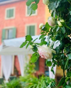 A garden outside Relais Valpolicella B&B