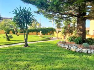 un parque con palmeras y un camino en MEMO'S Affittacamere, en Arborea 