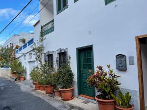 a green door on a white building with potted plants at Vivienda Vacacional Juliana in Valle Gran Rey