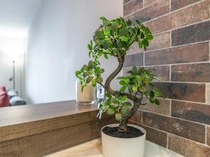 Fotografija u galeriji objekta Pass the Keys Stunning 1BR Apt in No 1 Location with Free Parking u gradu Belfast
