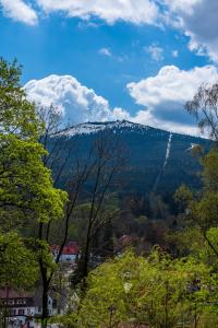 Príroda v okolí apartmánu