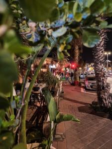 Fotografie z fotogalerie ubytování Sima Suite v destinaci Ašdod