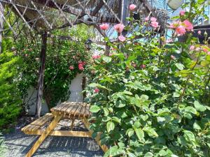 Ein Garten an der Unterkunft The Spidaki