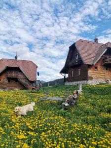 a person sitting on a bench in a field of flowers at Konaci Zaovljanska jezera in Zaovine