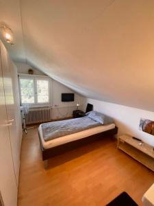 1 dormitorio con 1 cama y TV en una habitación en Budgetapartment Zeppelin von Swisspartments, en Arbon
