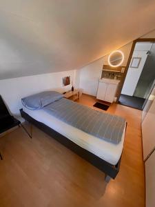 1 dormitorio con 1 cama grande en una habitación en Budgetapartment Zeppelin von Swisspartments, en Arbon