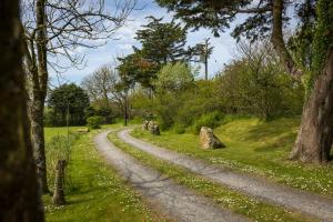 een grindweg in een park met bomen en gras bij The Nogg Cottages in Solva