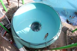 un hombre en una piscina con un inodoro en un parque acuático en Hotel LIVVO Costa Taurito & Aquapark, en Taurito