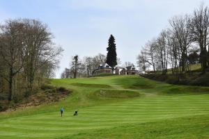 un hombre y dos perros caminando en un campo de golf en La conciergerie en Namur