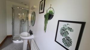 a bathroom with a sink and a toilet and a mirror at Acarsaid B&B in Lybster +19 photos