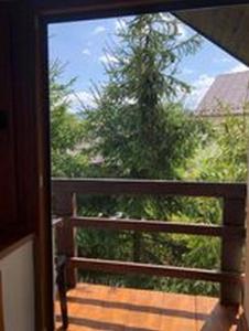 a view from a door of a balcony with a tree at Domek całoroczny Pod Lipą u GABI in Grywałd