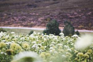 Gallery image of Blue Cow Barn - Boutique Farm in Barrydale