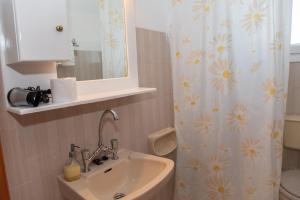 ein Badezimmer mit Waschbecken und Duschvorhang in der Unterkunft George Apartments in Arillas