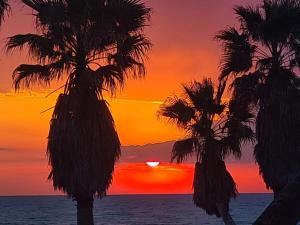 two palm trees with a sunset in the background at Elegance B&B in Ladispoli