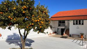 un naranjo frente a una casa en Casa do Avô Patrício - Amazing Country House, en Pampilhal