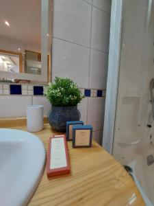 a bathroom with a table with a potted plant on it at Center Firefly Danube Apartment in Novi Sad
