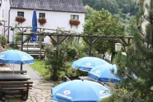 O vedere a piscinei de la sau din apropiere de Wellness Hotel Pension & Gaststätte Riedel