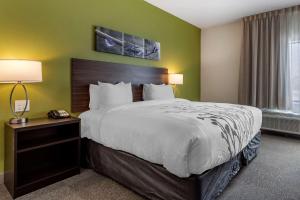 CrosbyにあるSleep Inn & Suitesの緑の壁のホテルルームの大型ベッド1台 +27枚の写真