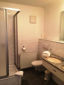 y baño con aseo, lavabo y ducha. en Pension an der Havelbucht en Potsdam