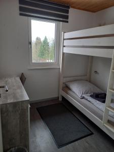 a bedroom with a bunk bed and a window at Ferienwohnungen am Burgberg in Lichtenberg