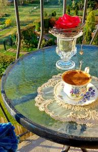 un tavolo di vetro con una tazza di caffè sopra di Borena a Palanga